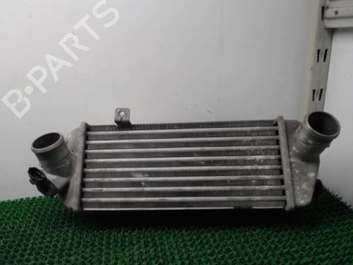 Used Intercooler Intercooler KIA VENGA (YN) 1.4 CRDi 90 (90 hp) 22083607 22083607