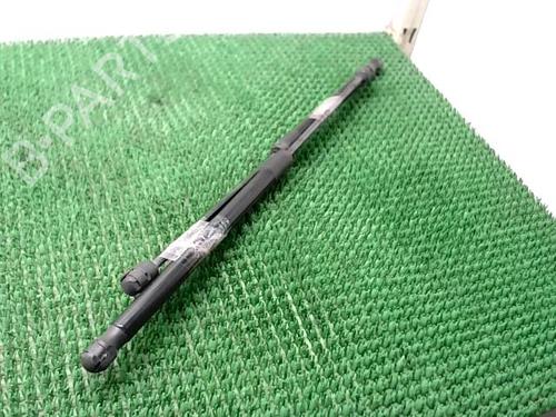 tailgate-lift-support-citroen-c4-ii-nc_-2009-27180470 main image