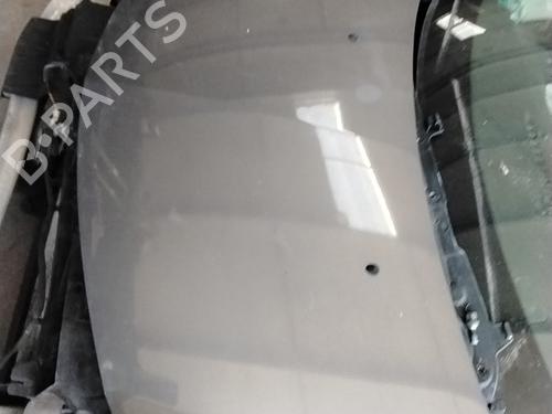 Used Hood Hood RENAULT CLIO III Hatchback Van (SB_, SR_) [2005-2026] 36155556 36155556