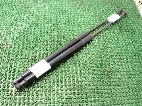 Tailgate lift support RENAULT SCÉNIC IV (J9_) 1.5 dCi 110 | BP22091661C138 