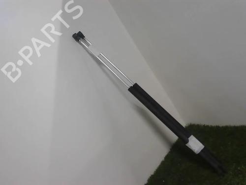 Used Tailgate lift support CITROËN BERLINGO / BERLINGO FIRST Box Body/MPV (M_) 2.0 HDI 90 (MBRHY, MCRHY) (90 hp) 28441843