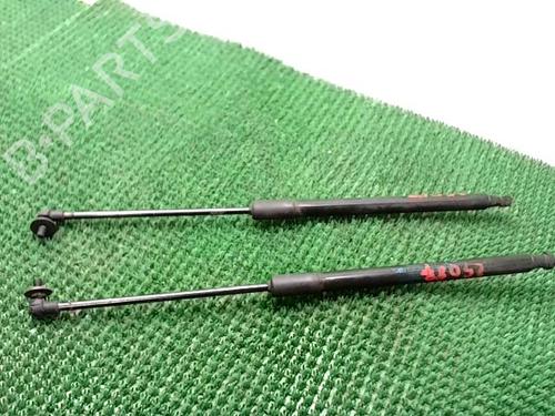 Tailgate lift support RENAULT SCÉNIC IV (J9_) 1.5 dCi 110 | BP22892734C138 