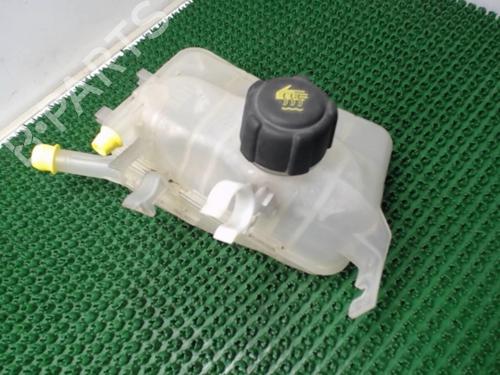 Expansion tank RENAULT MEGANE III Hatchback (BZ0/1_, B3_) 1.5 dCi (BZ0C) | BP22077865C120 
