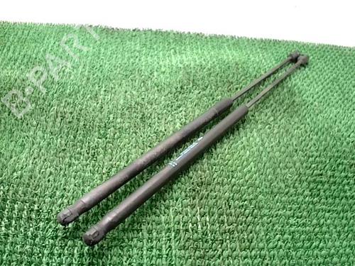Tailgate lift support PEUGEOT 1007 (KM_) 1.4 HDi | BP28487486C138