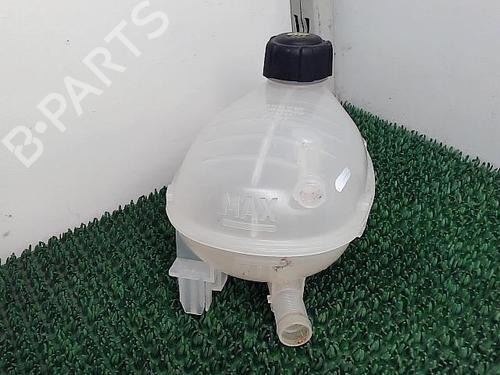 Expansion tank RENAULT CAPTUR II (HF_) TCe 90 (HFM6) | BP22089791C120 