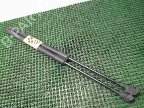 Used Tailgate lift support OPEL MERIVA A MPV (X03) 1.6 (E75) (105 hp) 22081017