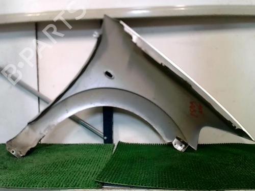 Left front fenders CITROËN C3 I (FC_, FN_) 1.1 i | BP25127390C41 