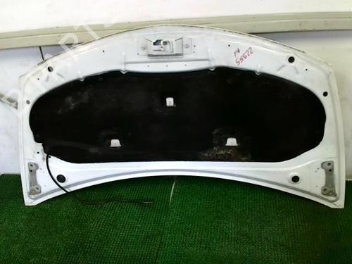 Hood RENAULT CLIO III (BR0/1, CR0/1) 1.5 dCi | BP20875245C1 