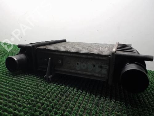 Used Intercooler Intercooler RENAULT CLIO III (BR0/1, CR0/1) 1.5 dCi (C/BR0G, C/BR1G) (68 hp) 22080307 22080307