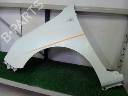 Left front fenders RENAULT KANGOO Express (FW0/1_) 1.5 dCi 85 (FW0K, FW0L, FW0B) | BP20876464C41 