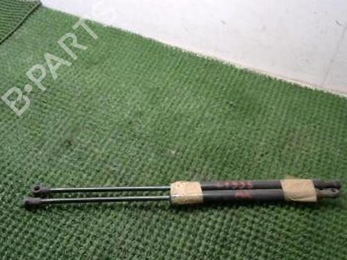 Tailgate lift support FIAT PANDA (169_) 1.1 (169.AXA1A) | BP22088531C138 