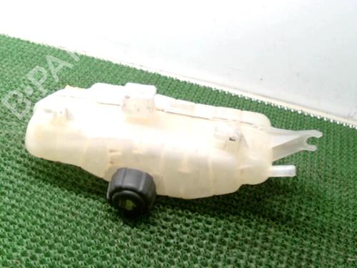 Used Expansion tank RENAULT CLIO III (BR0/1, CR0/1) 1.2 16V Hi-Flex (BR1U, CR1U) (75 hp) 22078557