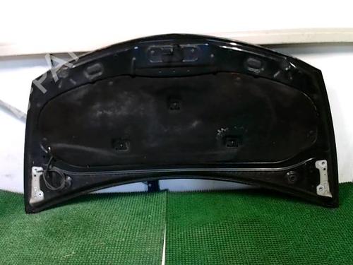 Hood RENAULT CLIO III (BR0/1, CR0/1) 1.5 dCi (BR0H, CR0H, CR1S, BR1S) | BP20874843C1 