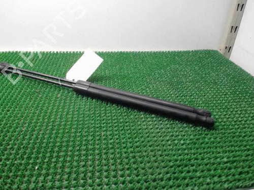 Used Tailgate lift support FORD FIESTA VI (CB1, CCN) 1.4 TDCi (70 hp) 22076248