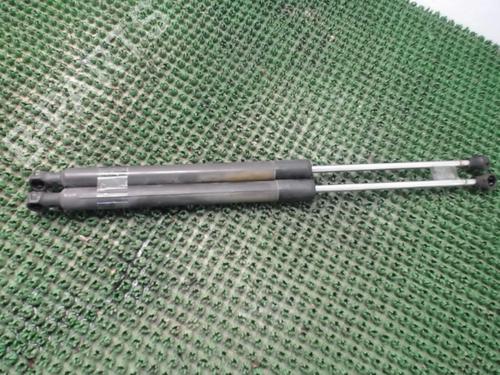 Used Tailgate lift support RENAULT CLIO III (BR0/1, CR0/1) 1.2 16V (BR02, BR0J, BR11, CR02, CR0J, CR11) (75 hp) 22082214