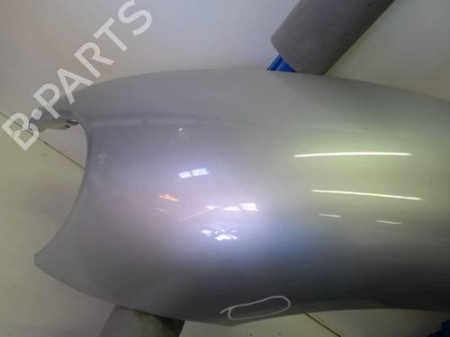 Left front fenders VW NEW BEETLE (9C1, 1C1) 1.6 | BP22077756C41 