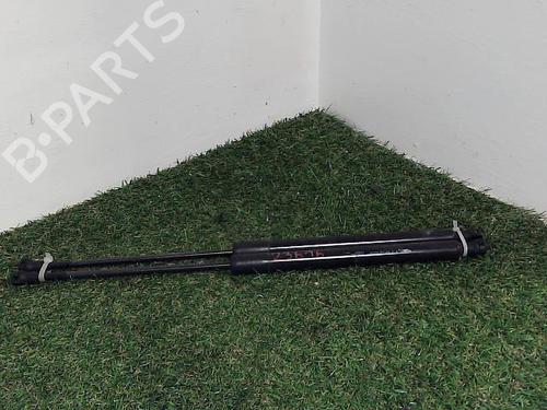 Used Tailgate lift support CITROËN C3 II (SC_) 1.4 (73 hp) 22092336