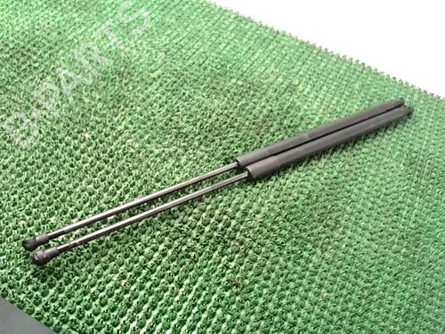 Used Tailgate lift support PEUGEOT RCZ 2.0 HDi (163 hp) 22089653