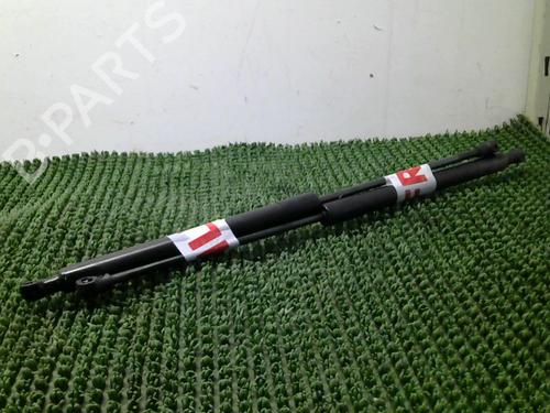 tailgate-lift-support-citroen-c3-ii-sc_-2009-31700479 main image