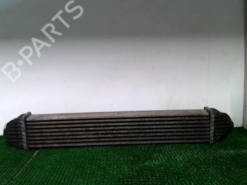 Used Intercooler Intercooler MERCEDES-BENZ B-CLASS Sports Tourer (W245) B 200 CDI (245.208) (140 hp) 22093051 22093051