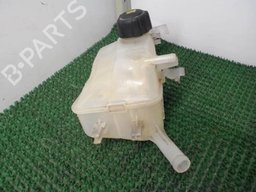 Used Expansion tank RENAULT MEGANE III Hatchback (BZ0/1_, B3_) 1.5 dCi (106 hp) 22081296