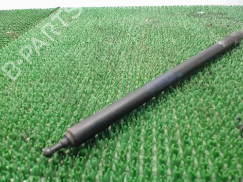 Used Hood lift support RENAULT MEGANE III Coupe (DZ0/1_) 1.9 dCi (DZ0N, DZ0J, DZ1J, DZ1K) (131 hp) 22084967