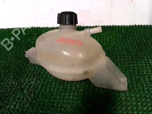 Deposito expansion RENAULT MASTER III Van (FV) 2.3 dCi 100 FWD (FV0A, FV0B, FV0G, FV0K, FV0H) (101 hp) 21567169