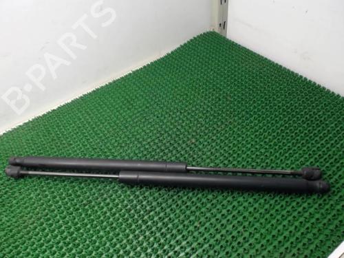 Used Tailgate lift support RENAULT SCÉNIC II (JM0/1_) 1.5 dCi (JM0F) (82 hp) 22077893