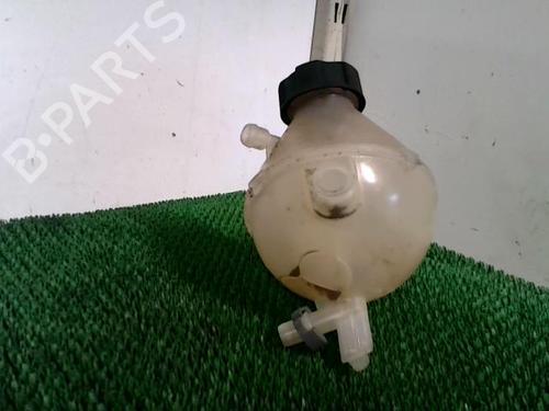 Expansion tank CITROËN C3 II (SC_) 1.6 BlueHDi 100 | BP29817050C120