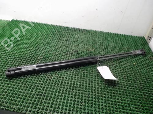 Tailgate lift support CITROËN C4 Picasso I MPV (UD_) 1.6 HDi | BP22085010C138 