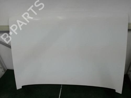 Motorhaube für RENAULT RAPID Box Body/MPV (F40_, G40_) 1.9 D (F40R) (54 hp) 22082516