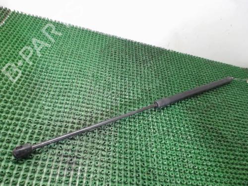Hood lift support RENAULT MEGANE III Hatchback (BZ0/1_, B3_) 1.9 dCi (BZ0N, BZ0J) | BP22082473C139 