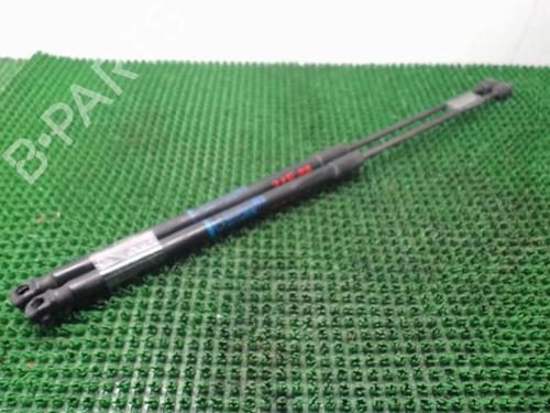 Tailgate lift support OPEL CORSA D (S07) 1.2 (L08, L68) | BP22087062C138 