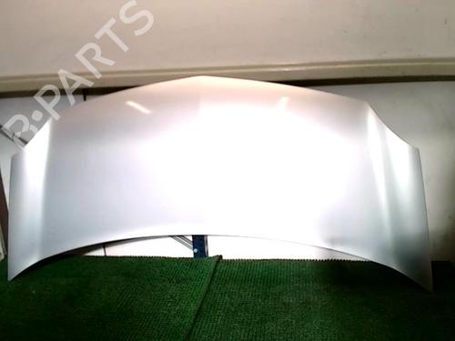 Used Hood RENAULT KANGOO / GRAND KANGOO II (KW0/1_) 1.5 dCi 85 (KW0K, KW0L, KW0B) (86 hp) 21190200
