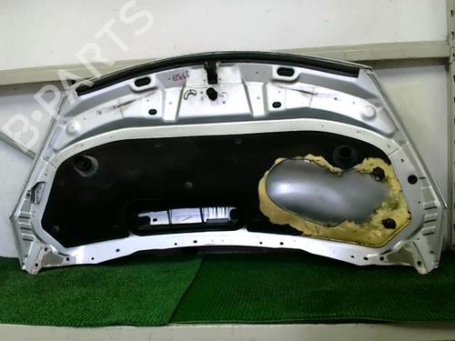 hood-renault-espace-iv-jk01_-20-dci-jk01-jk02-jk1j-jk1k-jk1h-651000267r-2002-20874268 main image