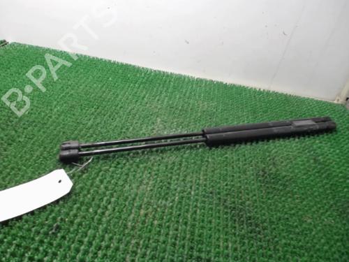 Tailgate lift support MERCEDES-BENZ A-CLASS (W168) A 170 CDI (168.008) | BP22084778C138 