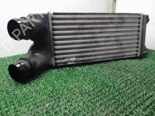 Used Intercooler PEUGEOT PARTNER Tepee 1.6 HDi 16V (90 hp) 22084252