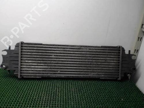 Intercooler RENAULT TRAFIC II Van (FL) 1.9 dCi 80 (FL0B) | BP22085160M30 