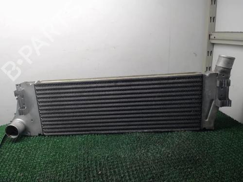 Intercooler RENAULT MEGANE II Coupé-Cabriolet (EM0/1_) 1.9 dCi | BP22088205M30 