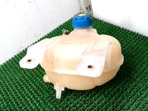 Expansion tank FIAT DOBLO Cargo (263_) 2.0 D Multijet | BP29817131C120
