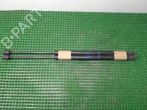 Used Tailgate lift support RENAULT SCÉNIC II (JM0/1_) 1.5 dCi (JM1E, JM16) (106 hp) 22077433