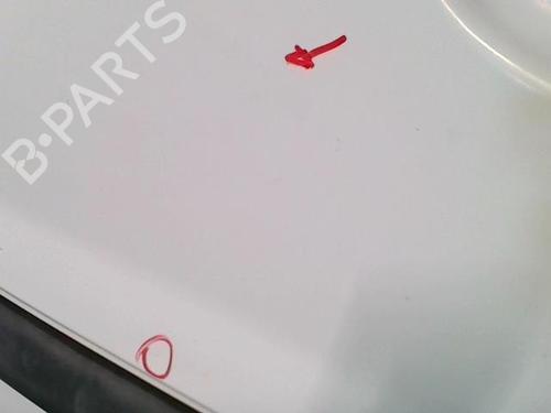Left front door RENAULT KANGOO Express (FC0/1_) D 65 1.9 (FC0E, FC02, FC0J, FC0N) | BP20875050C2 