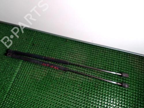 Tailgate lift support FORD FOCUS C-MAX (DM2) 1.8 TDCi | BP22082888C138 