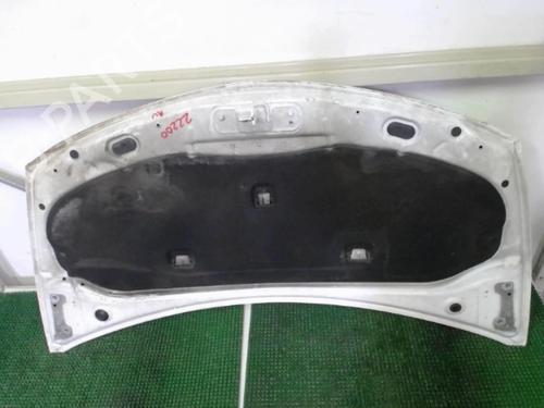 Hood RENAULT CLIO III (BR0/1, CR0/1) 1.5 dCi (C/BR0G, C/BR1G) | BP20876514C1 