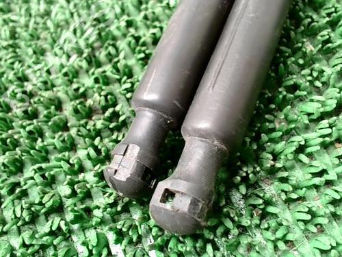 Gassdemper Bakluke CITROËN C3 II (SC_) 1.2 VTi 82 | BP29315669C138 