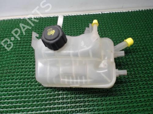 Expansion tank RENAULT MEGANE III Hatchback (BZ0/1_, B3_) 1.5 dCi (BZ0C) | BP22077865C120 
