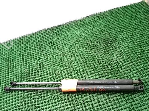 Used Tailgate lift support RENAULT CLIO III (BR0/1, CR0/1) 1.5 dCi (75 hp) 29892843