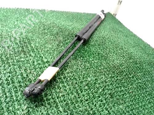 Tailgate lift support CITROËN C4 Picasso II 1.6 HDi 90 | BP25000711C138 