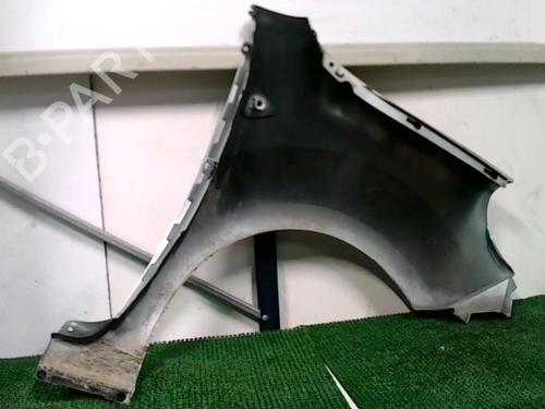 Left front fenders RENAULT KANGOO / GRAND KANGOO II (KW0/1_) 1.5 dCi 85 (KW0K, KW0L, KW0B) | BP21190449C41 