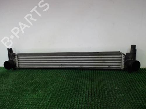 Used Intercooler Intercooler SEAT IBIZA IV (6J5, 6P1) 1.2 TDI (75 hp) 22078196 22078196